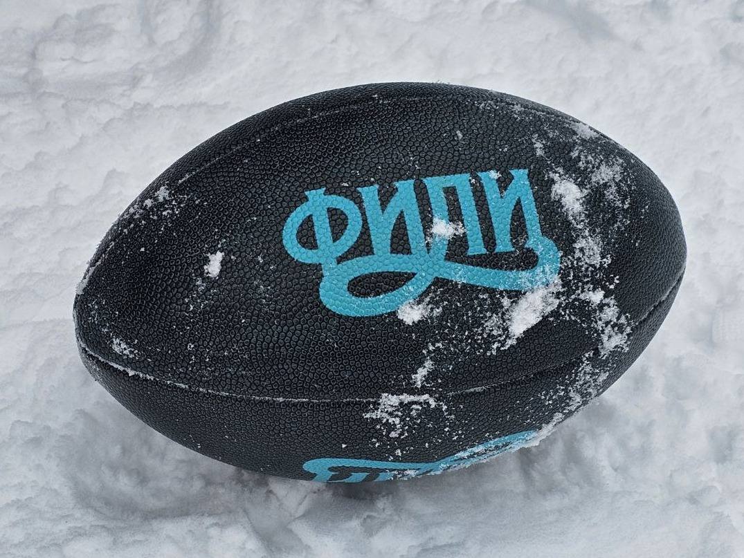 Чёрный мяч с надписью «Фили» на снегу
